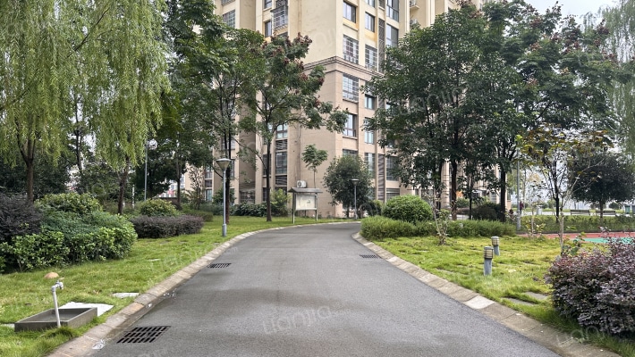 荧鸿艾坪山1号外景图