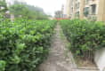 王莊路27號院戶型圖實景圖