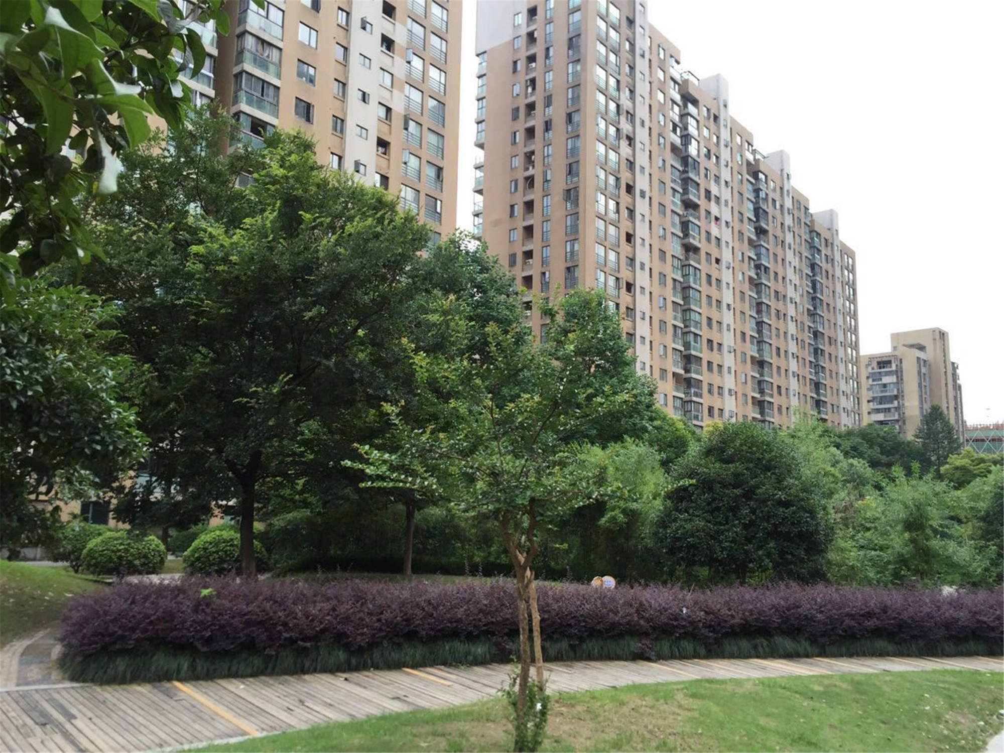  风雅钱塘小区实景 10