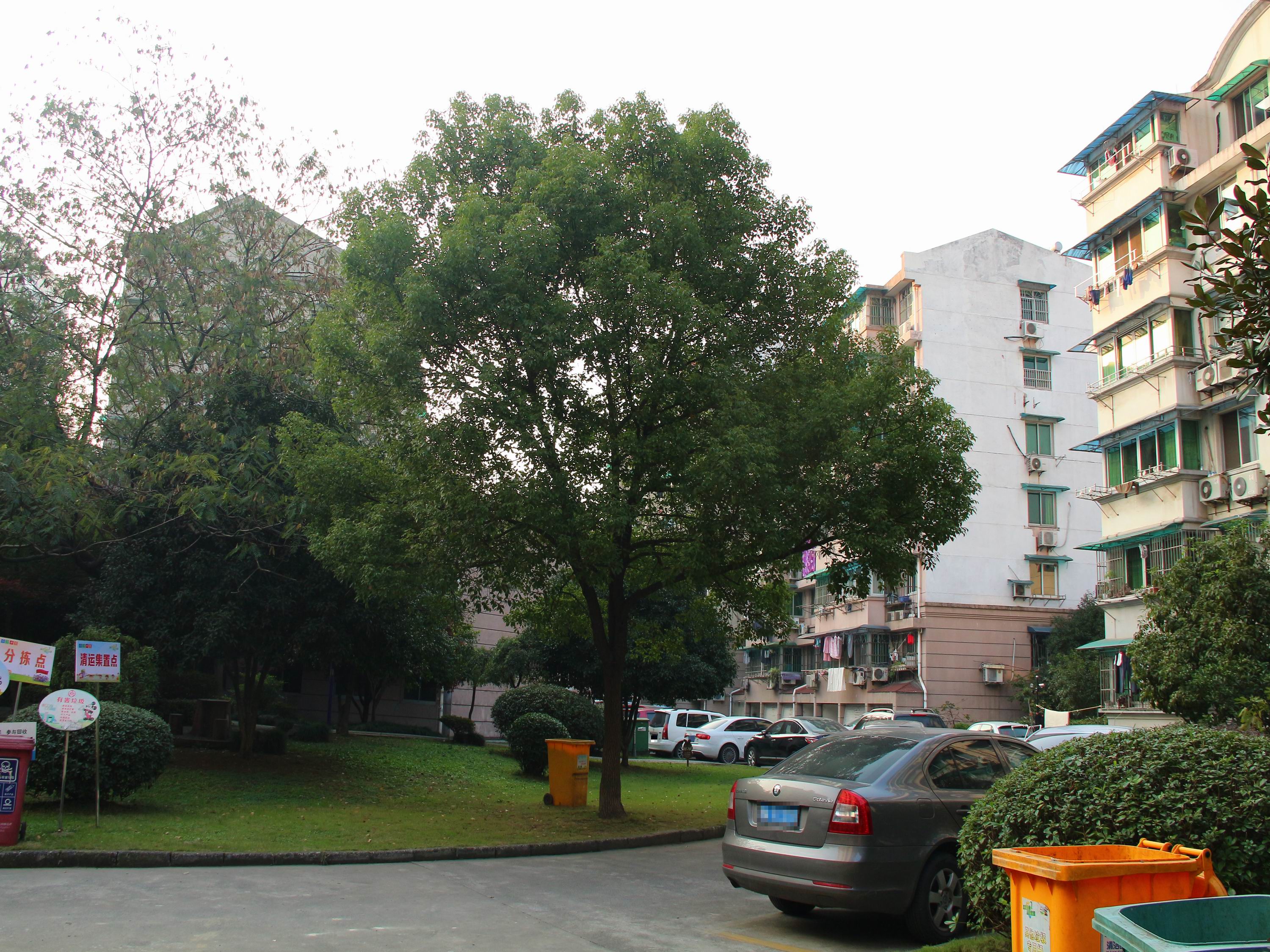 Jialv Beiyuan compound photo 9
