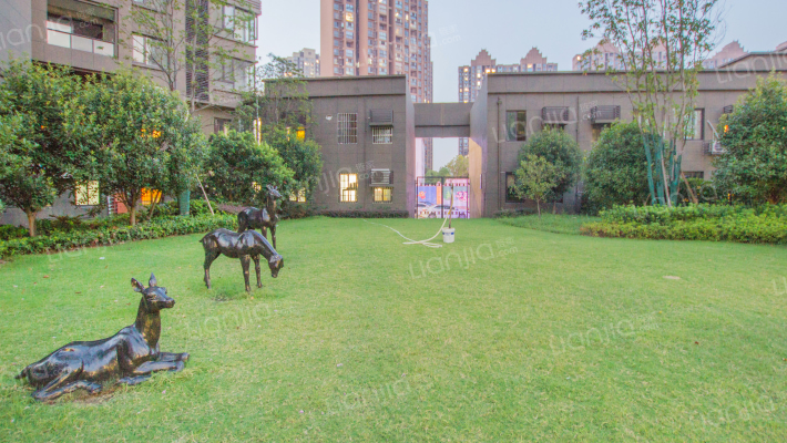 国贸春天外景图