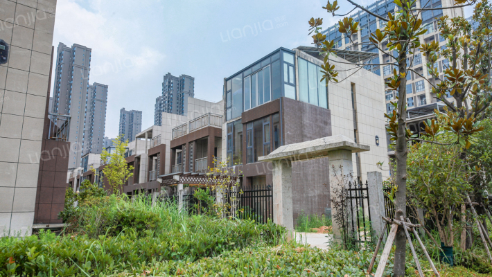 庞大领航外景图