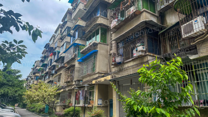 丽雅纤维215大院外景图