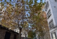 邯郸大学家属院户型图实景图