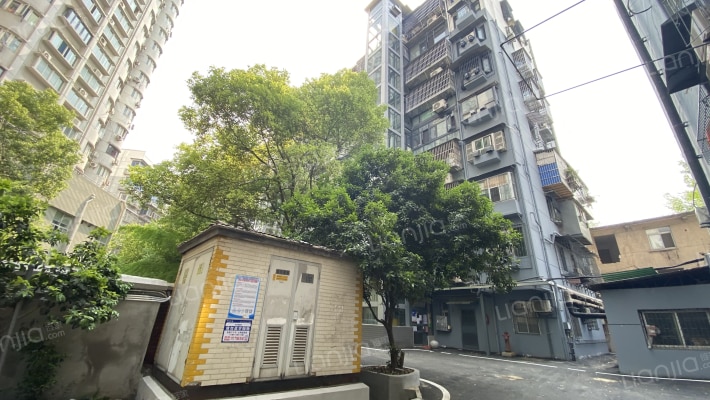 青年路20号外景图