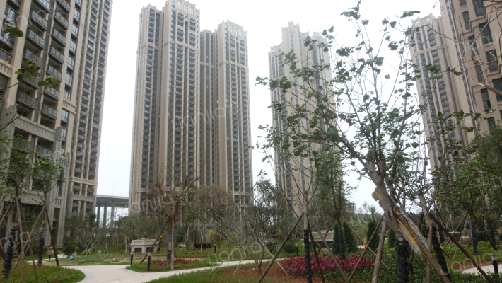 禹洲中央海岸二期外景图