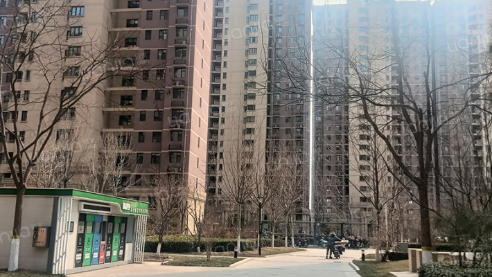 智高常春藤C区外景图