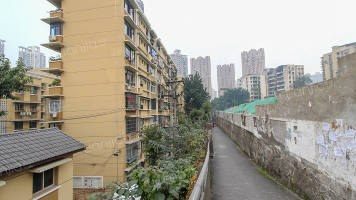 苦楝子小区外景图