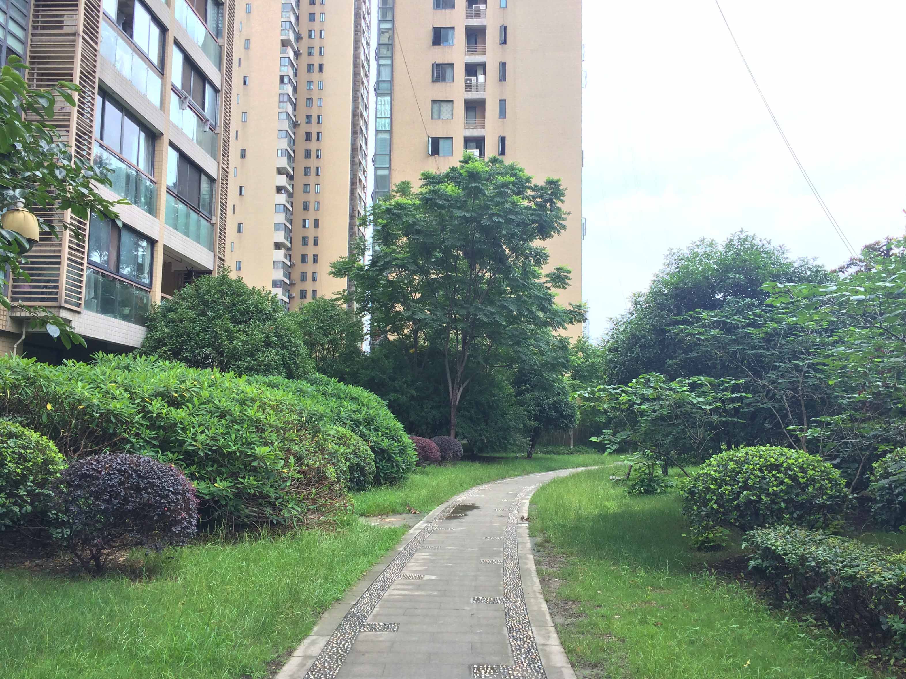  风雅钱塘小区实景 3