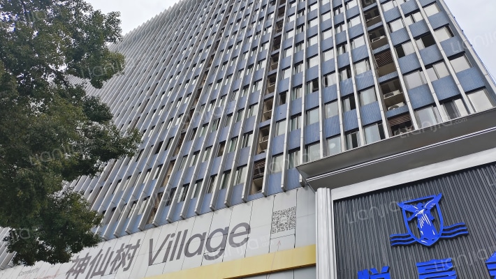 神仙树6号院外景图