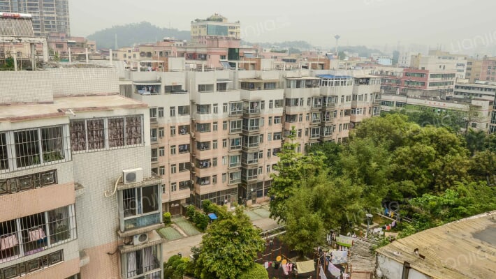 学子荔园外景图