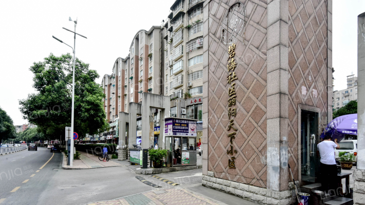 丽阳天下A区外景图