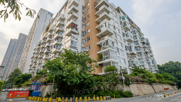 新天国际名苑外景图