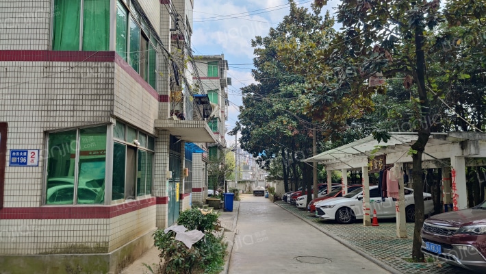 公路公司宿舍院落外景图