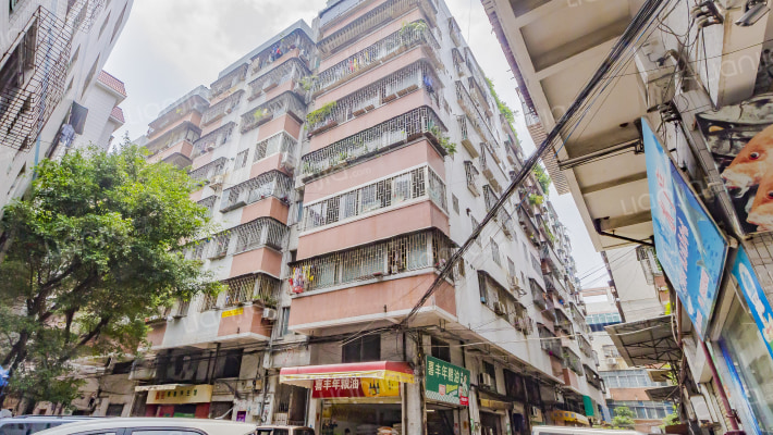 丽晶新村外景图