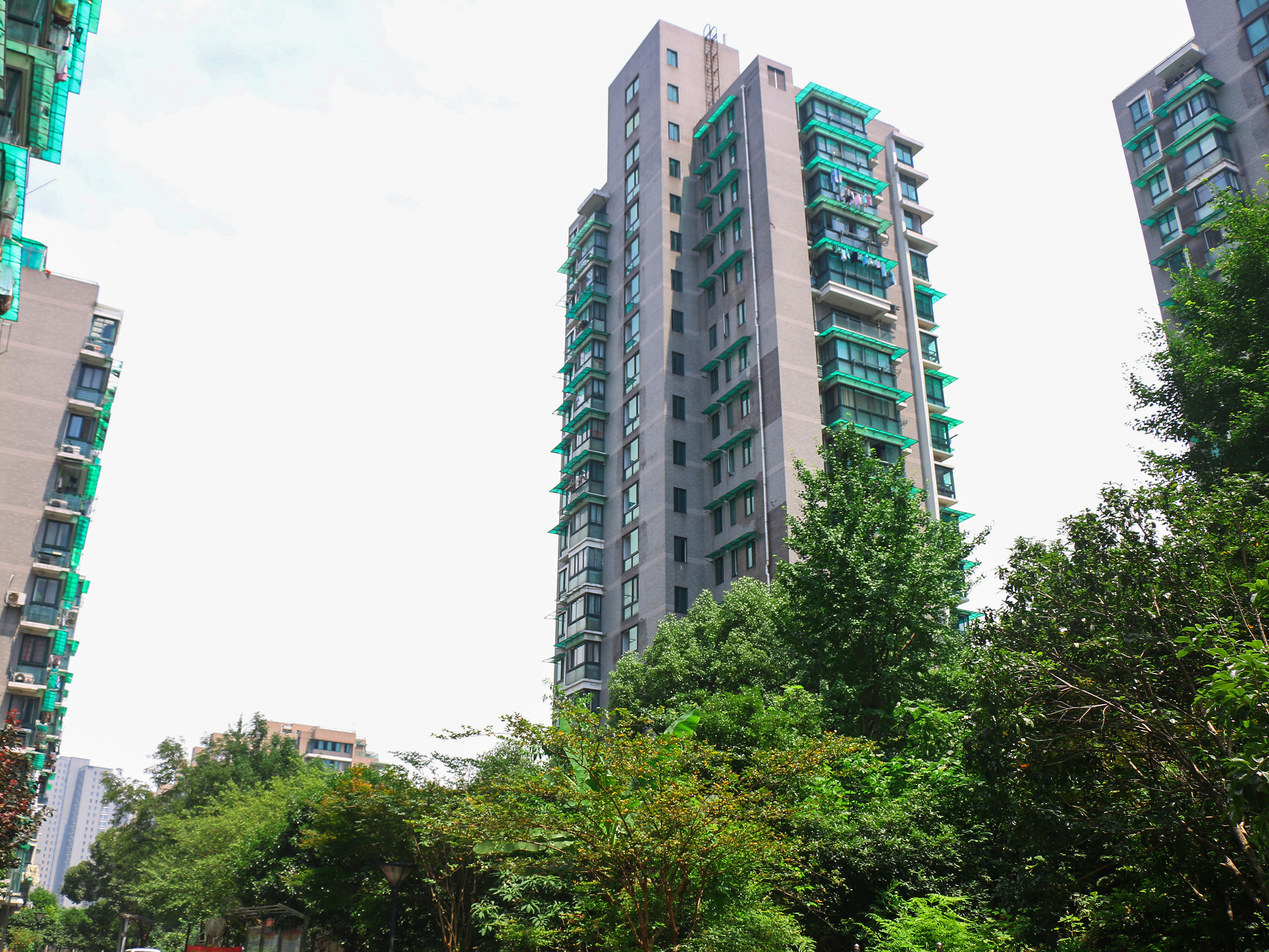 钱江六苑小区实景 2