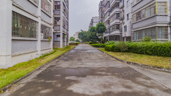 沙头安置房外景图