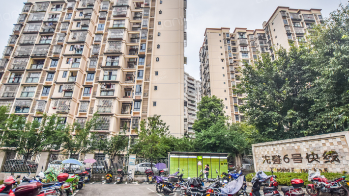 先登6号快线外景图