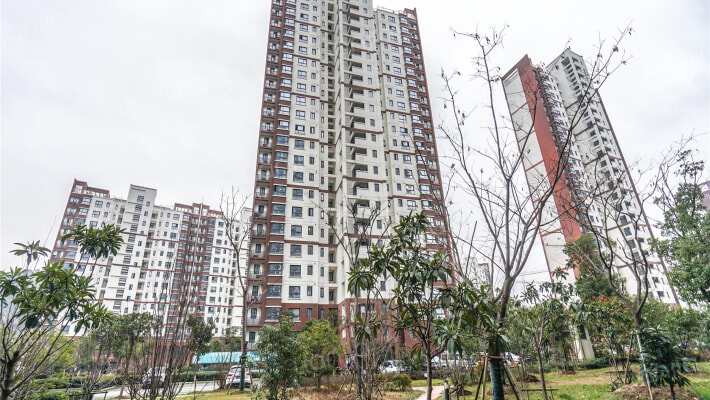 杨木桥新苑外景图