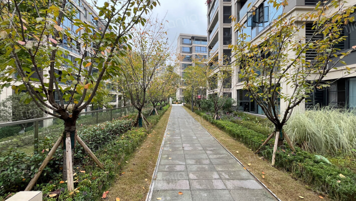 金科美的原上C组团外景图