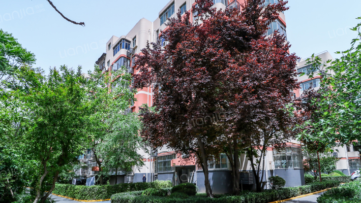 枫叶苑南区外景图