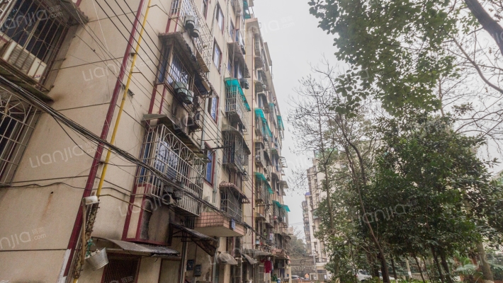 岳银一村外景图