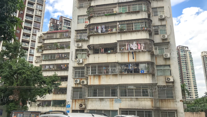 水仙花园外景图