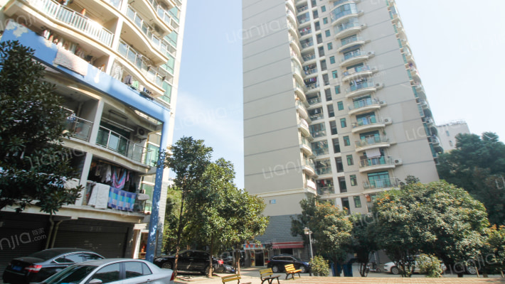 学雅芳邻外景图