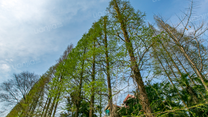 溧阳路1114弄外景图