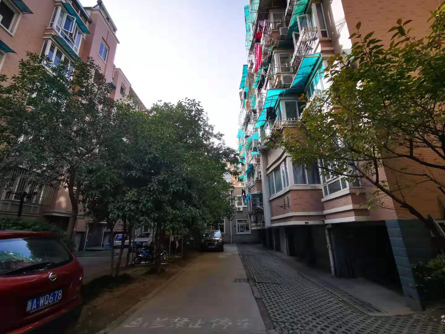 金城花园小区实景 10