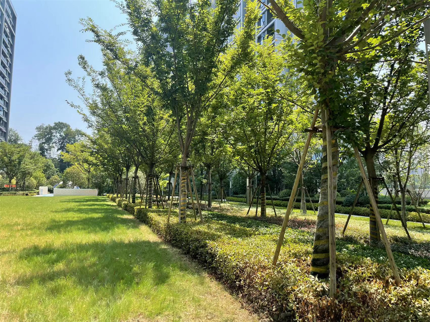 凤玺云著府小区实景 12