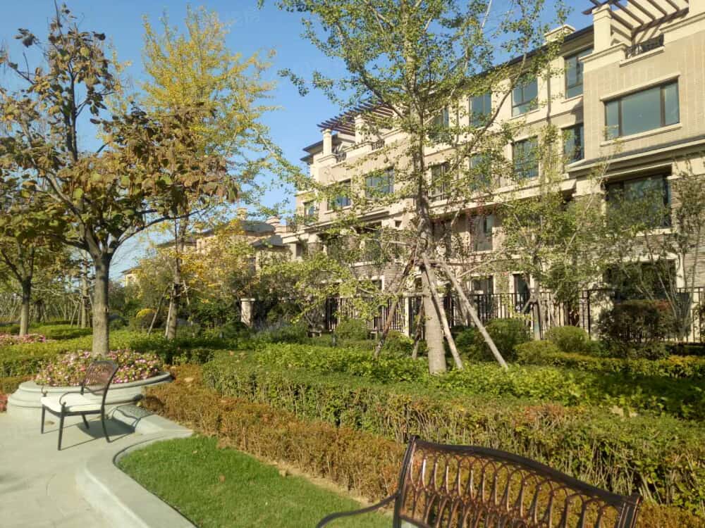 新湖美丽洲相册