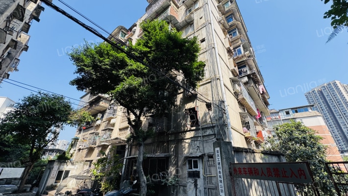 红育坡67号外景图