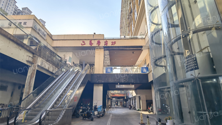 弘扬鹦鹉之城外景图