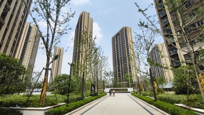 银城中奥君荟外景图