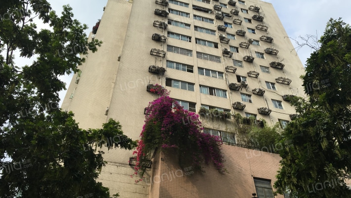 鹏宇大厦外景图