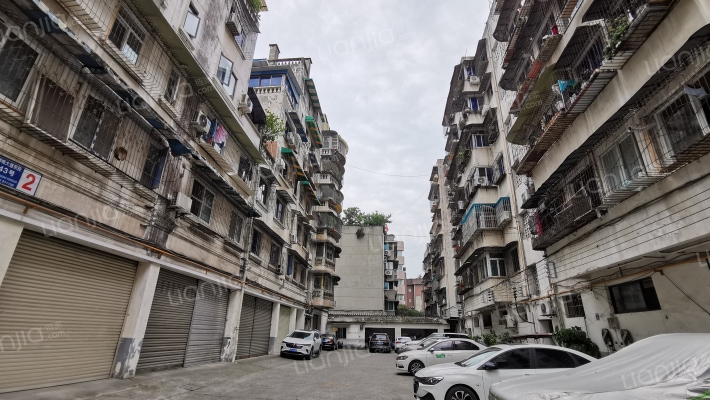 柳城大道东段43号外景图