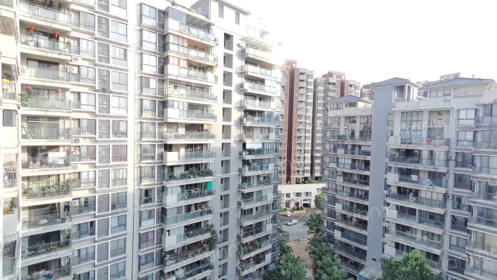 南山公馆外景图