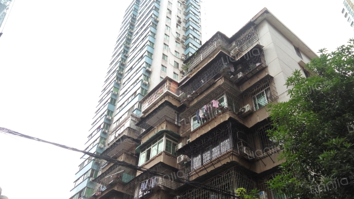 麓苑路35号大院外景图