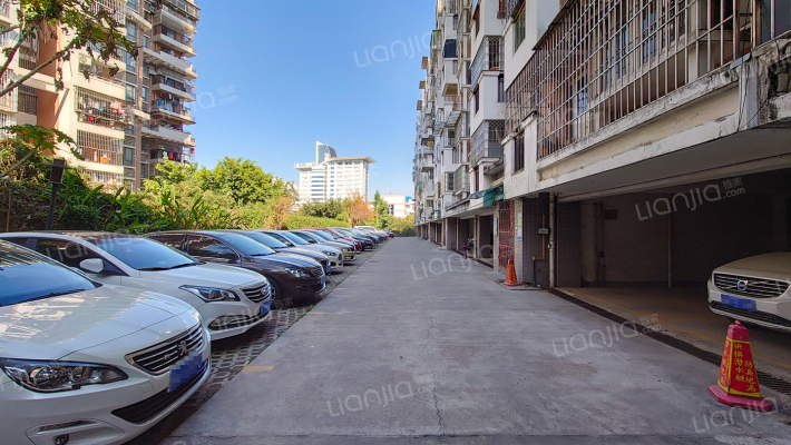 武夷春晓外景图