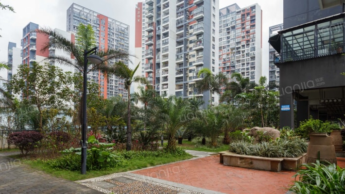 东港印象B区外景图