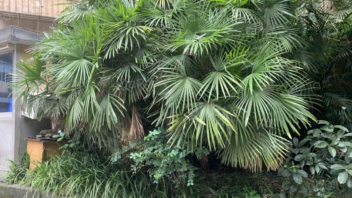 西亚广场外景图