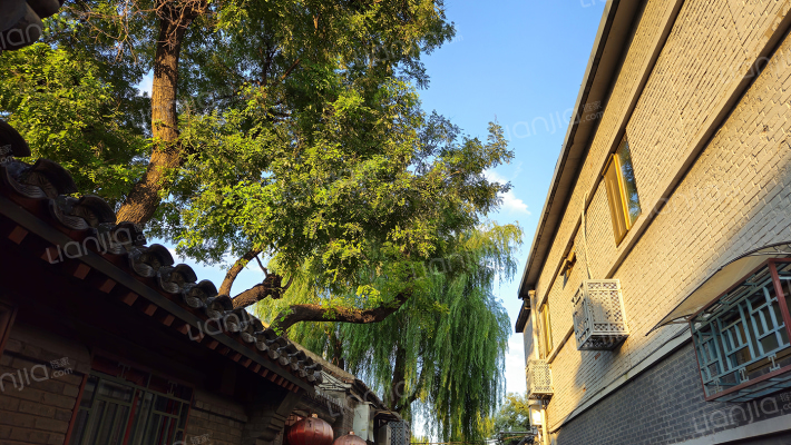 小新开胡同外景图