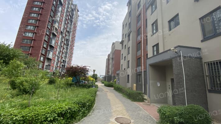 香槟新坐标外景图