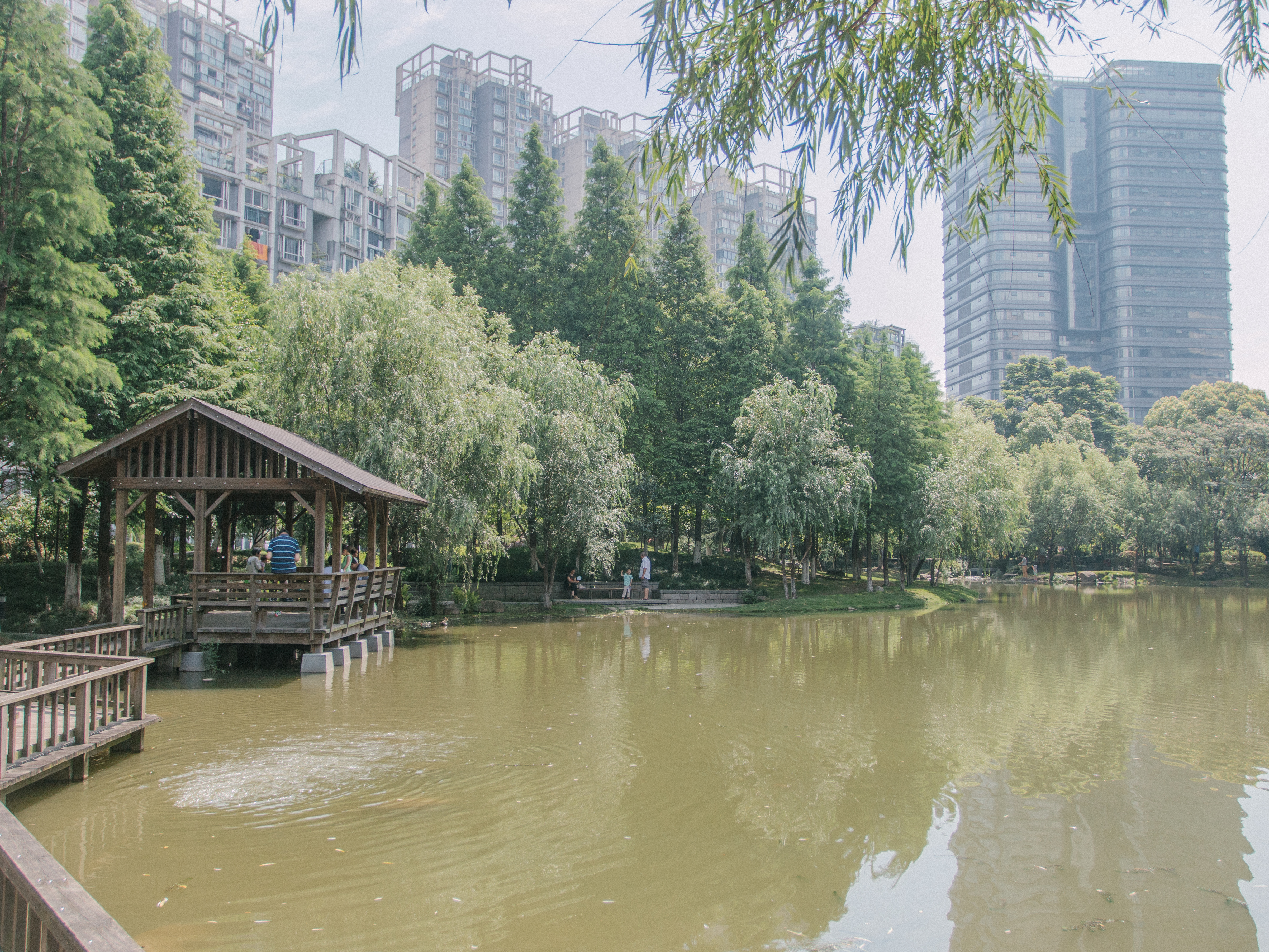 现代名苑小区实景 23
