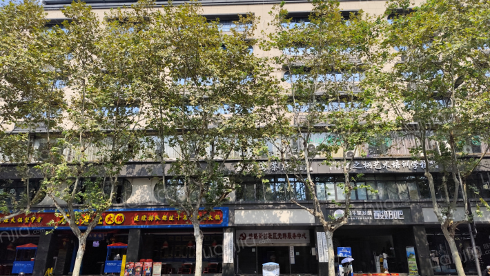 沙湾路49号外景图