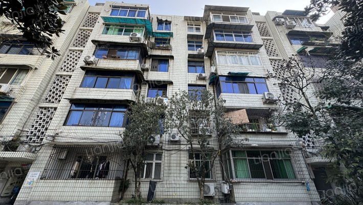 五津东路226号外景图