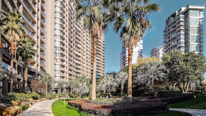 金色海岸外景图