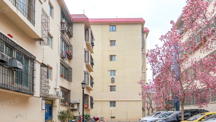 桐柏路191-197号外景图