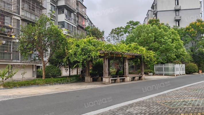 钱江新村一区外景图